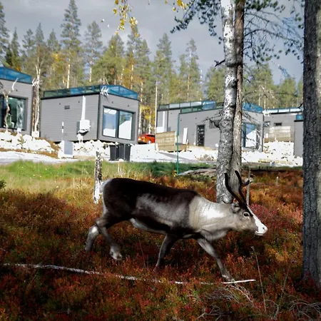 Secret Igloo Revontuli *