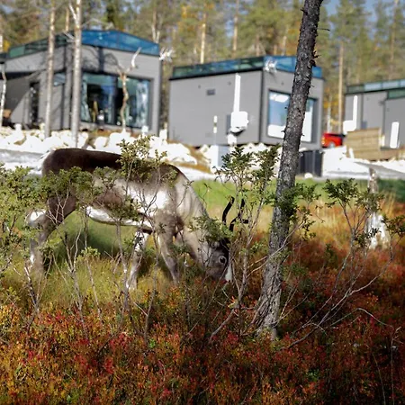 Secret Igloo Revontuli Леви