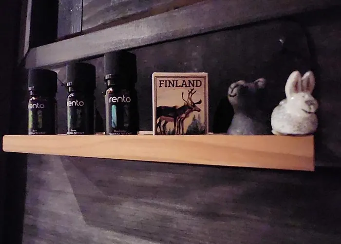 Secret Igloo Revontuli