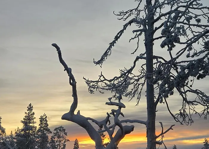 Secret Igloo Revontuli Σαλέ *